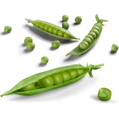 Arveja Verde en Cascara